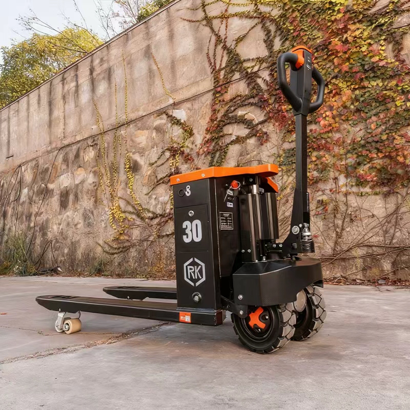 Two-Wheeled Off-Road Electric  – Electric Forklift Bewertung und Preis