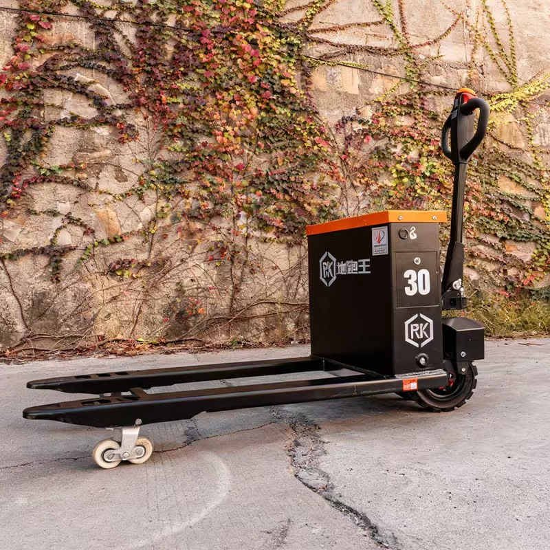 Two-Wheeled Off-Road Electric  – Electric Forklift Bewertung und Preis