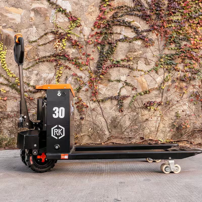 Two-Wheeled Off-Road Electric  – Electric Forklift Bewertung und Preis