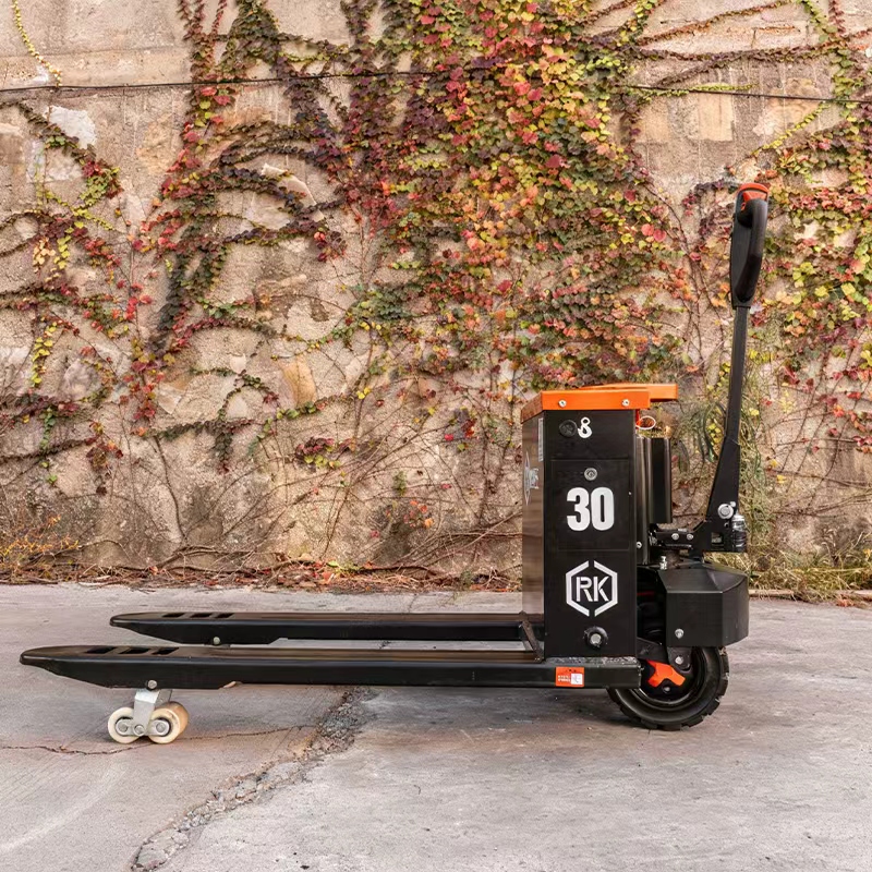 Two-Wheeled Off-Road Electric  – Electric Forklift Bewertung und Preis